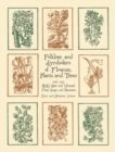 Folklore and Symbolism of Flowers, Plants and Trees - Book