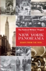New York Panorama - eBook