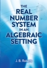 The Real Number System in an Algebraic Setting - eBook