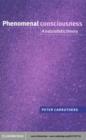 Phenomenal Consciousness : A Naturalistic Theory - eBook