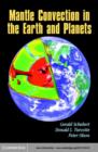 Mantle Convection in the Earth and Planets - eBook