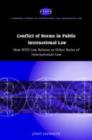 Conflict of Norms in Public International Law : How WTO Law Relates to other Rules of International Law - eBook