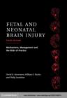 Fetal and Neonatal Brain Injury : Mechanisms, Management and the Risks of Practice - eBook