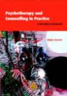 Psychotherapy and Counselling in Practice : A Narrative Framework - eBook