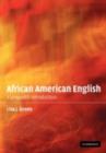 African American English : A Linguistic Introduction - eBook