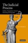 Judicial Process : Realism, Pragmatism, Practical Reasoning and Principles - eBook