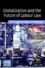Globalization and the Future of Labour Law - eBook