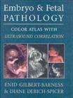 Embryo and Fetal Pathology : Color Atlas with Ultrasound Correlation - eBook