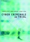 Cyber Criminals on Trial - eBook