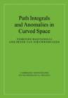Path Integrals and Anomalies in Curved Space - eBook