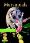 Marsupials - eBook