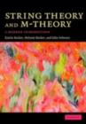 String Theory and M-Theory : A Modern Introduction - eBook