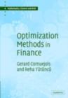 Optimization Methods in Finance - eBook