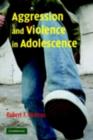 Aggression and Violence in Adolescence - eBook