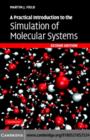 A Practical Introduction to the Simulation of Molecular Systems - eBook