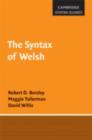 Syntax of Welsh - eBook