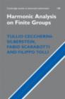 Harmonic Analysis on Finite Groups : Representation Theory, Gelfand Pairs and Markov Chains - eBook