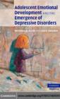 Adolescent Emotional Development and the Emergence of Depressive Disorders - eBook