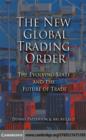 New Global Trading Order : The Evolving State and the Future of Trade - eBook