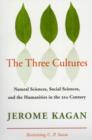 The Three Cultures : Natural Sciences, Social Sciences, and the Humanities in the 21st Century - eBook