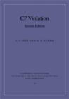 CP Violation - eBook