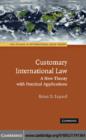 Customary International Law : A New Theory with Practical Applications - eBook