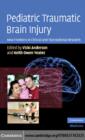 Pediatric Traumatic Brain Injury : New Frontiers in Clinical and Translational Research - eBook