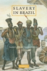 Slavery in Brazil - eBook