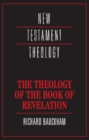 The Theology of the Book of Revelation - eBook
