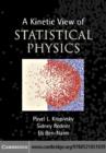 A Kinetic View of Statistical Physics - eBook