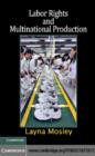 Labor Rights and Multinational Production - eBook