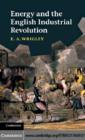 Energy and the English Industrial Revolution - eBook