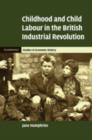 Childhood and Child Labour in the British Industrial Revolution - eBook