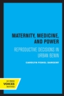 Maternity, Medicine, and Power : Reproductive Decisions in Urban Benin - Book