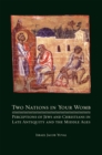 Two Nations in Your Womb : Perceptions of Jews and Christians in Late Antiquity and the Middle Ages - eBook