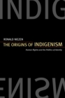 The Origins of Indigenism : Human Rights and the Politics of Identity - eBook
