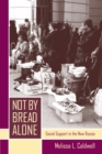 Not by Bread Alone : Social Support in the New Russia - eBook