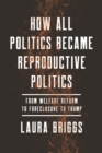 How All Politics Became Reproductive Politics : From Welfare Reform to Foreclosure to Trump - eBook