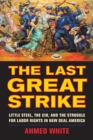 The Last Great Strike : Little Steel, the CIO, and the Struggle for Labor Rights in New Deal America - eBook