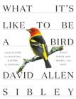What It's Like to Be a Bird - eBook