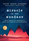 Miracle in the Mundane - eBook