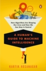 A Human's Guide To Machine Intelligence - Book