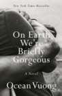 On Earth We're Briefly Gorgeous - eBook