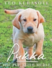 Pukka : The Pup After Merle - eBook