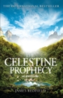 The Celestine Prophecy : how to refresh your approach to tomorrow with a new understanding, energy and optimism - Book