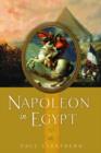 Napoleon in Egypt - eBook