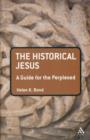 The Historical Jesus: A Guide for the Perplexed - Book