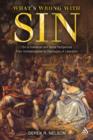 What's Wrong with Sin : Sin in Individual and Social Perspective from Schleiermacher to Theologies of Liberation - eBook