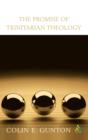 The Promise of Trinitarian Theology - eBook