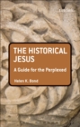 The Historical Jesus: A Guide for the Perplexed - eBook